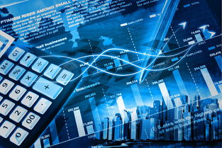 網絡與信息安全軟件開發 守護數字時代的防護盾